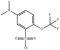 5-Dimethylamino-2-(trifluoromethoxy)benzenesulfonylchloride 结构式