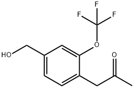 4-(2-Oxopropyl)-3-(trifluoromethoxy)benzylalcohol 结构式