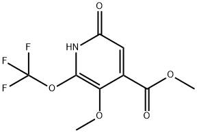 Methyl 6-hydroxy-3-methoxy-2-(trifluoromethoxy)pyridine-4-carboxylate 结构式