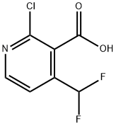 2-氯-4-(二氟甲基)烟酸 结构式