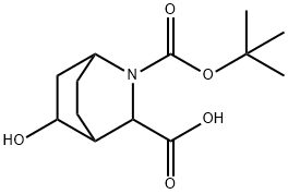 2-Azabicyclo[2.2.2]octane-2,3-dicarboxylic acid, 5-hydroxy-, 2-(1,1-dimethylethy… 结构式