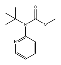 Carbamic acid, N-(1,1-dimethylethyl)-N-2-pyridinyl-, methyl ester 结构式