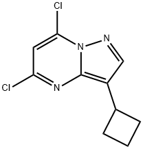 5,7-二氯-3-环丁基吡唑[1,5-A]嘧啶 结构式