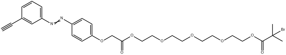 (E)-14-(4-((3-乙炔基苯基)二氮烯基)苯氧基)-13-氧代-3,6,9,12-四氧代癸酸酯2-溴-2-甲基丙酸酯 结构式
