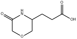 3-(5-氧代吗啉-3-基)丙酸 结构式