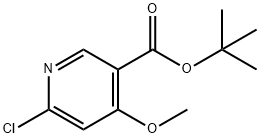 6-氯-4-甲氧基烟酸叔丁酯 结构式