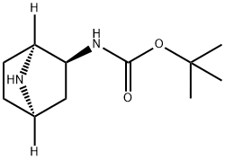 ((1S,2S,4R)-7-氮杂二环[2.2.1]庚-2-基)氨基甲酸叔丁酯 结构式