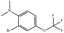 1-Bromo-2-dimethylamino-5-(trifluoromethoxy)benzene