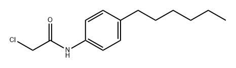 Acetamide, 2-chloro-N-(4-hexylphenyl)- 结构式