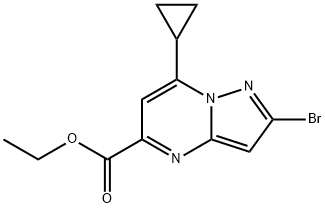 2-溴-7-环丙基吡唑并[1,5-A]嘧啶-5-甲酸乙酯 结构式