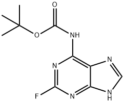 (2-氟-9H-嘌呤-6-基)氨基甲酸叔丁酯 结构式