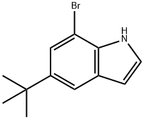7-溴-5-(叔丁基)-1H-吲哚 结构式