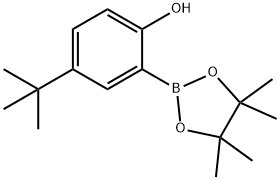 4-(叔丁基)-2-(4,4,5,5-四甲基-1,3,2-二氧硼烷-2-基)苯酚 结构式