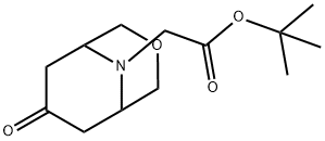 Tert-butyl 2-(7-oxo-3-oxa-9-azabicyclo[3.3.1]nonan-9-yl)acetate 结构式