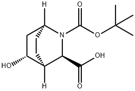 2-Azabicyclo[2.2.2]octane-2,3-dicarboxylic acid, 5-hydroxy-, 2-(1,1-dimethylethy… 结构式