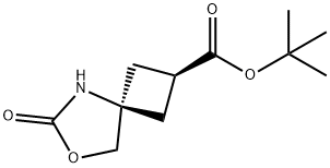 CIS-6-氧代-7-氧代-5-氮杂螺环[3.4]辛烷-2-羧酸叔丁酯 结构式