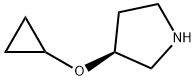 (S)-3-环丙氧基吡咯烷 结构式