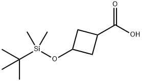 Cyclobutanecarboxylic acid, 3-[[(1,1-dimethylethyl)dimethylsilyl]oxy]- 结构式