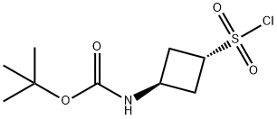 TERT-BUTYL N-[(1R,3R)-3-(CHLOROSULFONYL)CYCLOBUTYL]CARBAMATE 结构式