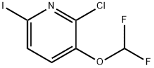 2-Chloro-3-(difluoromethoxy)-6-iodopyridine 结构式