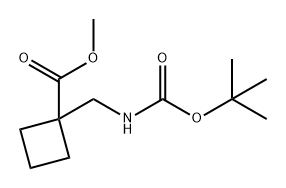 Cyclobutanecarboxylic acid, 1-[[[(1,1-dimethylethoxy)carbonyl]amino]methyl]-, methyl ester 结构式