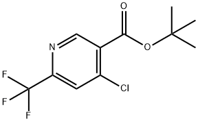 4-氯-6-(三氟甲基)烟酸叔丁酯 结构式