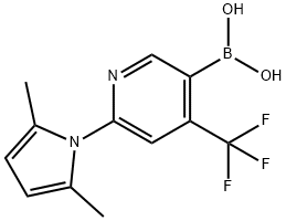 (6-(2,5-二甲基-1H-吡咯-1-基)-4-(三氟甲基)吡啶-3-基)硼酸 结构式