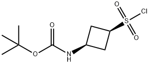 TERT-BUTYL N-[(1S,3S)-3-(CHLOROSULFONYL)CYCLOBUTYL]CARBAMATE 结构式