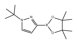 1-(叔丁基)-3-(4,4,5,5-四甲基-1,3,2-二氧杂硼烷-2-基)-1H-吡唑 结构式