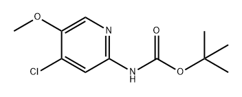 Carbamic acid, N-(4-chloro-5-methoxy-2-pyridinyl)-, 1,1-dimethylethyl ester 结构式