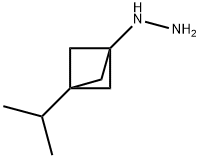 Hydrazine, [3-(1-methylethyl)bicyclo[1.1.1]pent-1-yl]- 结构式