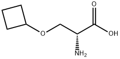 D-Serine, O-cyclobutyl- 结构式