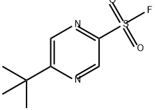 5-tert-butylpyrazine-2-sulfonyl fluoride 结构式