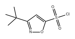 3-(叔丁基)异噁唑-5-磺酰氯 结构式