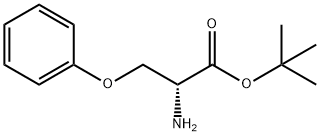 (R)-2-Amino-3-phenoxy-propionic acid tert-butyl ester 结构式