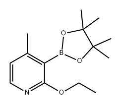 2-乙氧基-4-甲基-3-(4,4,5,5-四甲基-1,3,2-二氧硼杂环戊烷-2-基)吡啶 结构式