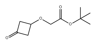 2-(3-氧代环丁氧基)乙酸叔丁酯 结构式