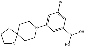 3-Bromo-5-(1,4-dioxa-8-azaspiro[4.5]decan-8-yl)phenylboronic acid 结构式