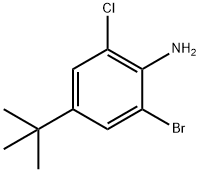 2-溴-4-叔丁基-6-氯苯胺 结构式