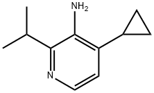 4-环丙基-2-异丙基吡啶-3-胺 结构式