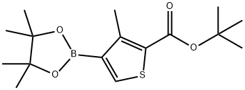 3-甲基-4-(4,4,5,5-四甲基-1,3,2-二氧杂硼烷-2-基)噻吩-2-羧酸叔丁酯 结构式