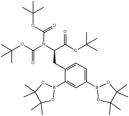 N,N-双[(1,1-二甲基乙氧基)羰基]-2,4-双(4,4,5,5-四甲基-1,3,2-二氧硼杂环戊烷-2-基)-D-苯丙氨酸1,1-二甲基乙酯 结构式