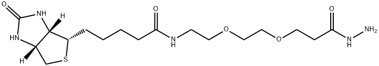 Biotin-PEG2-Hydrazide 结构式