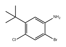 2-溴-5-(叔丁基)-4-氯苯胺 结构式