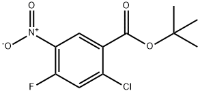 2-氯-4-氟-5-硝基苯甲酸叔丁酯 结构式