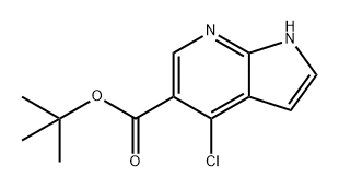 4-氯-1H-吡咯并[2,3-B]吡啶-5-羧酸叔丁酯 结构式