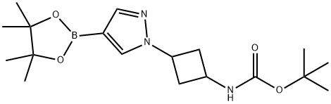 叔丁基(3-(4-(4,4,5,5-四甲基-1,3,2-二氧苯甲醛-2-基)-1H-吡唑-1-基)环丁基)氨基甲酸酯 结构式