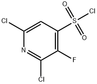 2,6-二氯-3-氟吡啶-4-磺酰氯 结构式