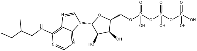 6-(2-MeBu)-ATP 结构式