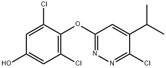 Phenol, 3,5-dichloro-4-[[6-chloro-5-(1-methylethyl)-3-pyridazinyl]oxy]- 结构式